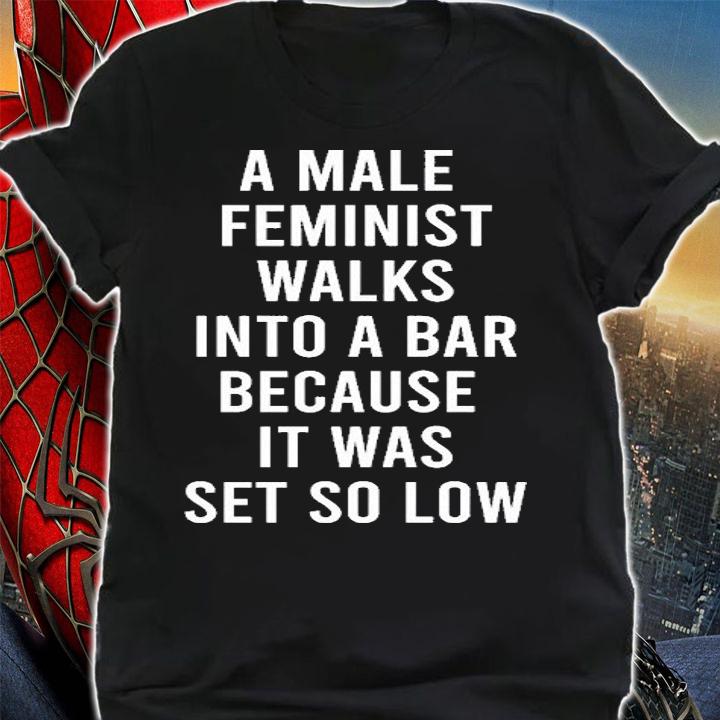 A Male Feminist Walks Into A Bar Because It Was Set So Low T-Shirt t-shirt