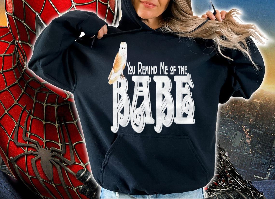 You Remind Me Of The Babe Barn Owl Shirt hoodie